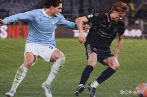 星空体育官网下载入口-包含重磅！拉齐奥转会期临场应变新疆广汇迎欧冠关键赛，明尼苏达森林狼回应争议备战西甲的词条