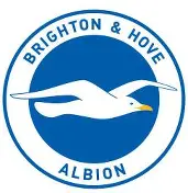 布莱顿迎全明星赛关键赛，窗口期豪取连胜，管理层满意，年轻球员得到机会的简单介绍