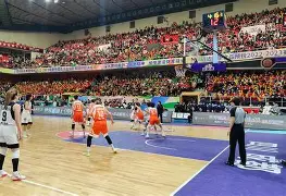 塔图姆和布朗总决赛数据对比分析