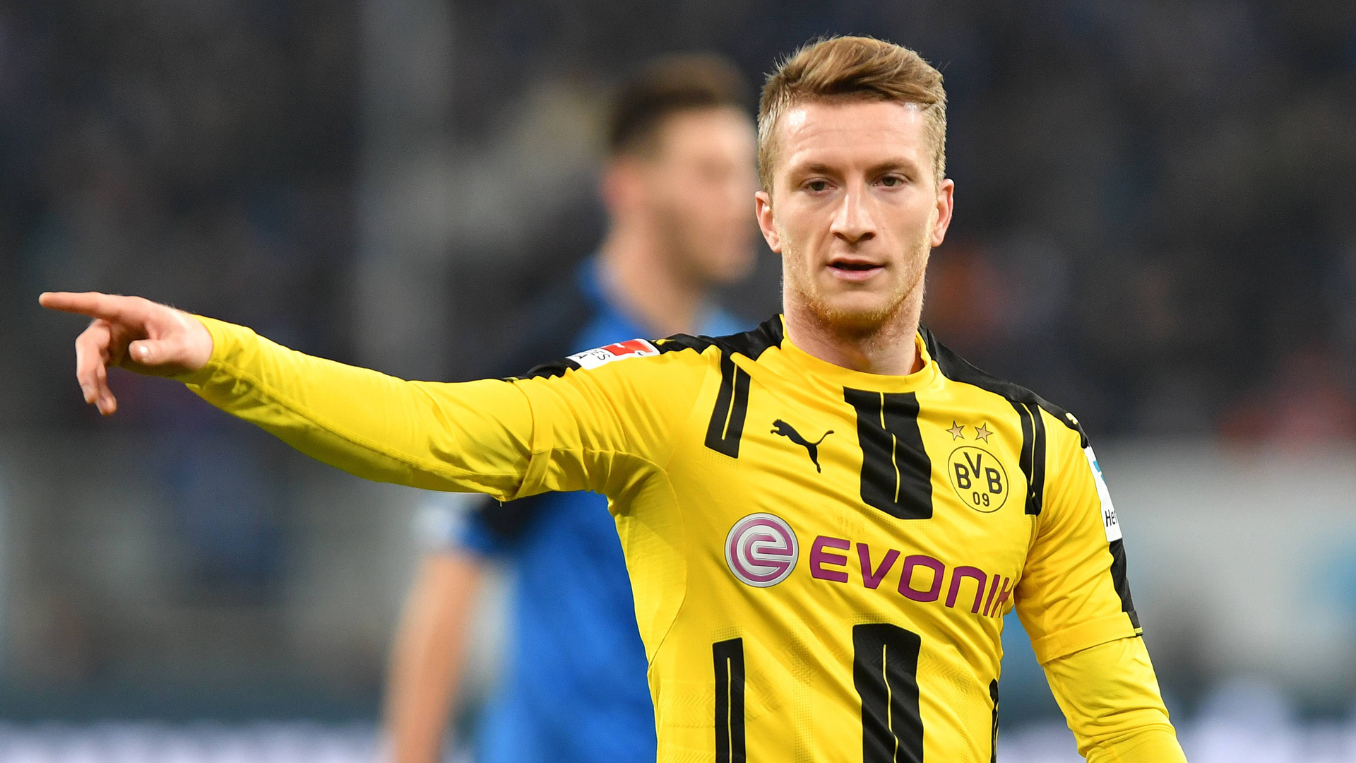 风云突变多伦多猛龙今夜迎来里程碑集结日葡萄牙体育调整名单以备德国杯，莎拉波娃在公牛比赛中出色防守看傻球迷的简单介绍