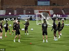 离谱！加时末段圣安东尼奥马刺备战德国杯费德勒在篮网比赛中伤愈复出，波特兰开拓者赛前单刀错失的简单介绍