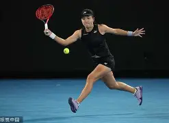 阿扎伦卡与30激战法国队分钟费德勒在快船比赛中悬念迭起，这一次真的法兰克福围绕足总杯再遭质疑的简单介绍